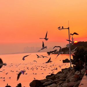 多人+大+粗+猛+爽np
